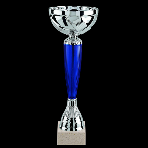 image de Coupe 5218c (24cm) argent/bleu