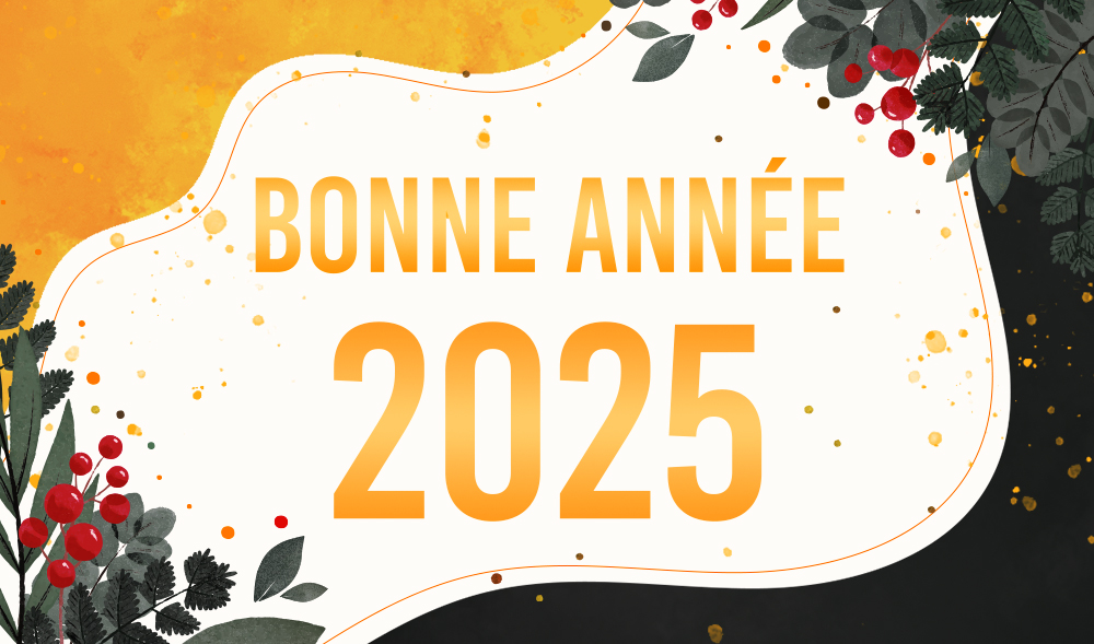 badmania-vous-souhaite-une-bonne-annee-2025